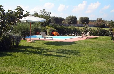 pool and lawn.jpg